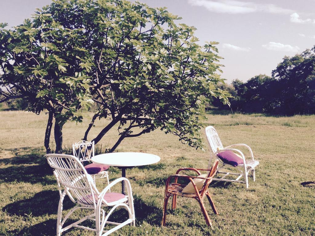B&B Mas Coquells Habitacion Genover 빌라넌트 외부 사진